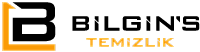 Bilgins Logo