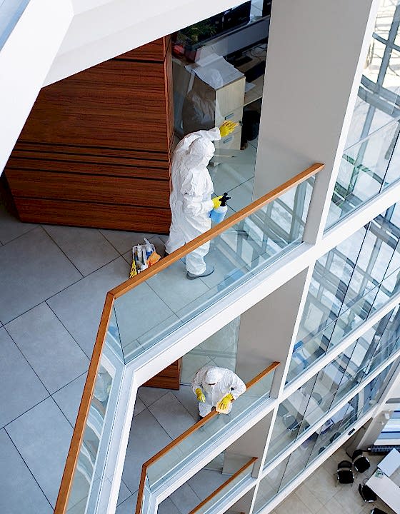 Afet Sonrası Temizlik