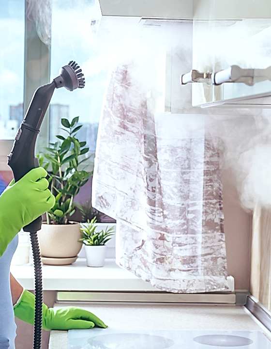 Buharlı Organik Temizlik 